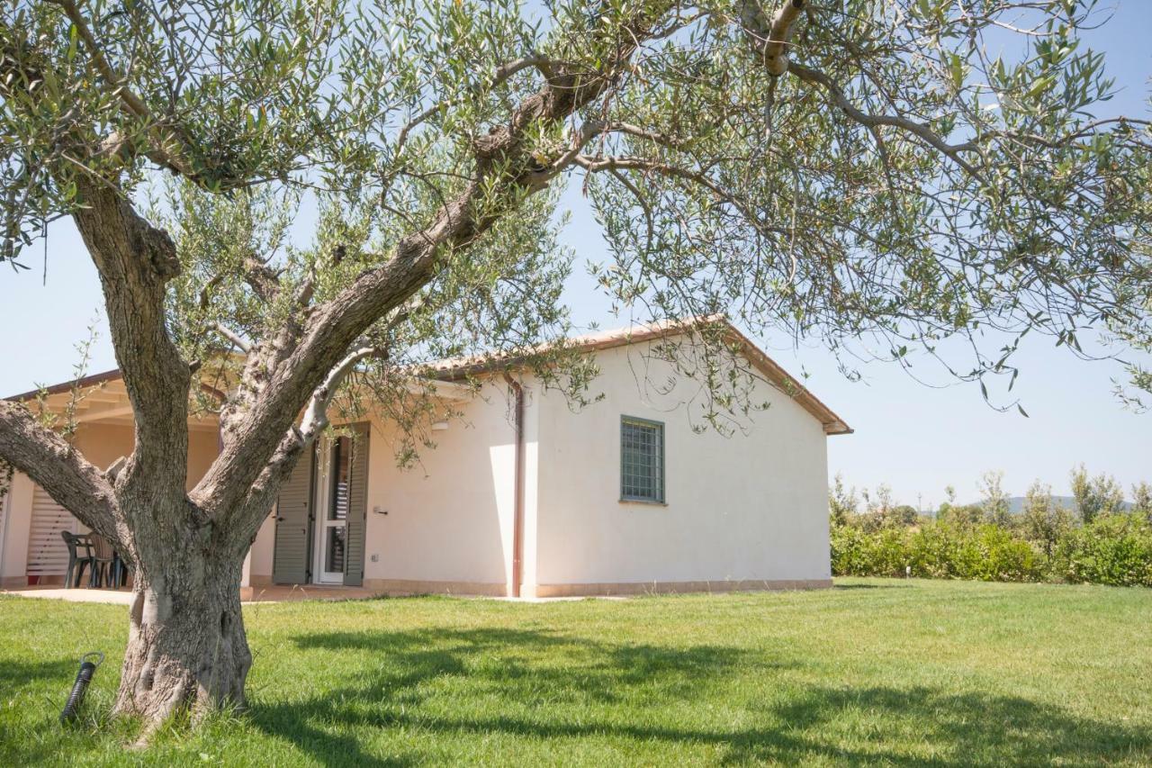 Agriturismo Il Mirto Пеша-Романа Экстерьер фото